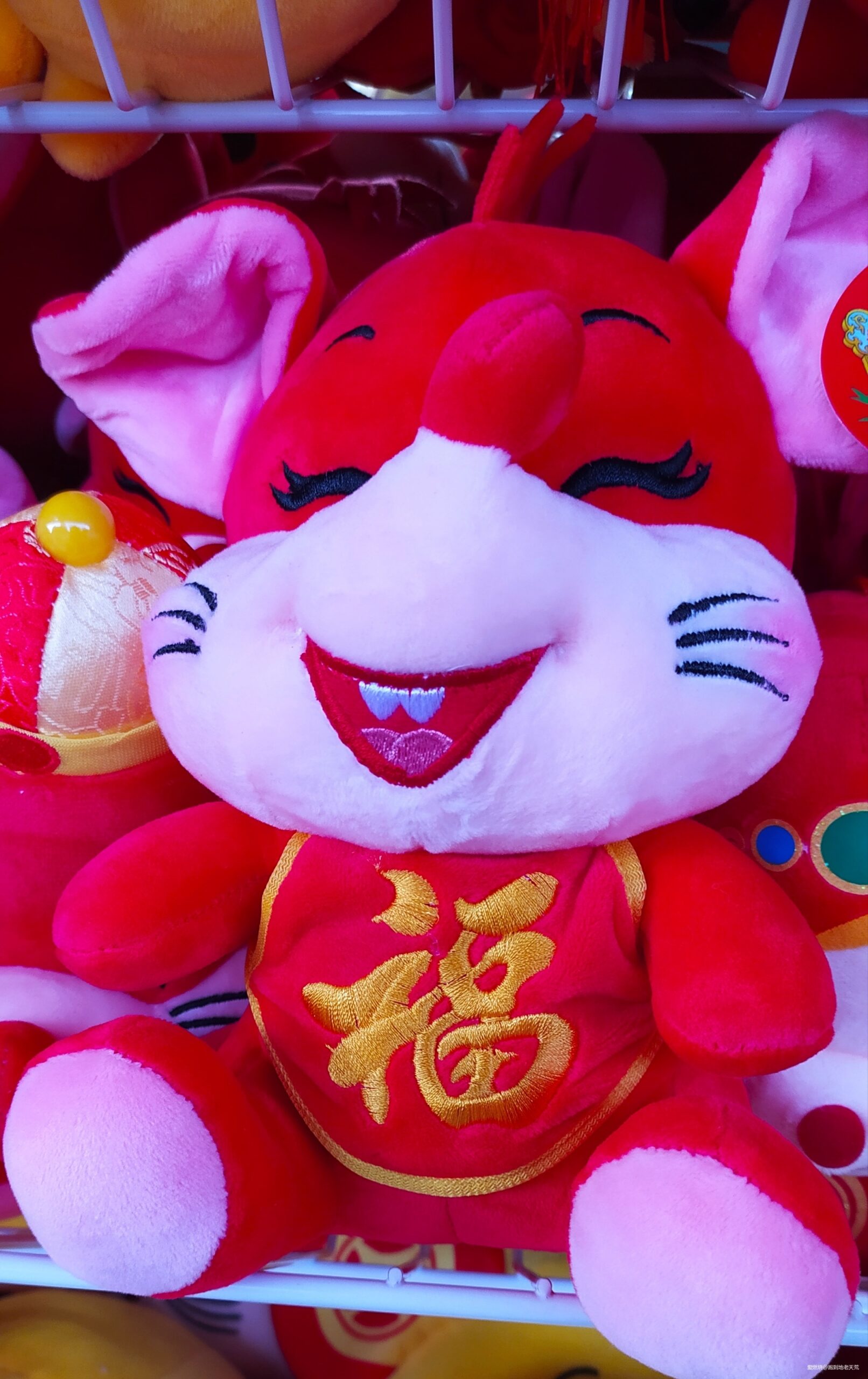 一起慢慢，数数羊城几只羊？——记2019广州马拉松（by跑到地老天荒）