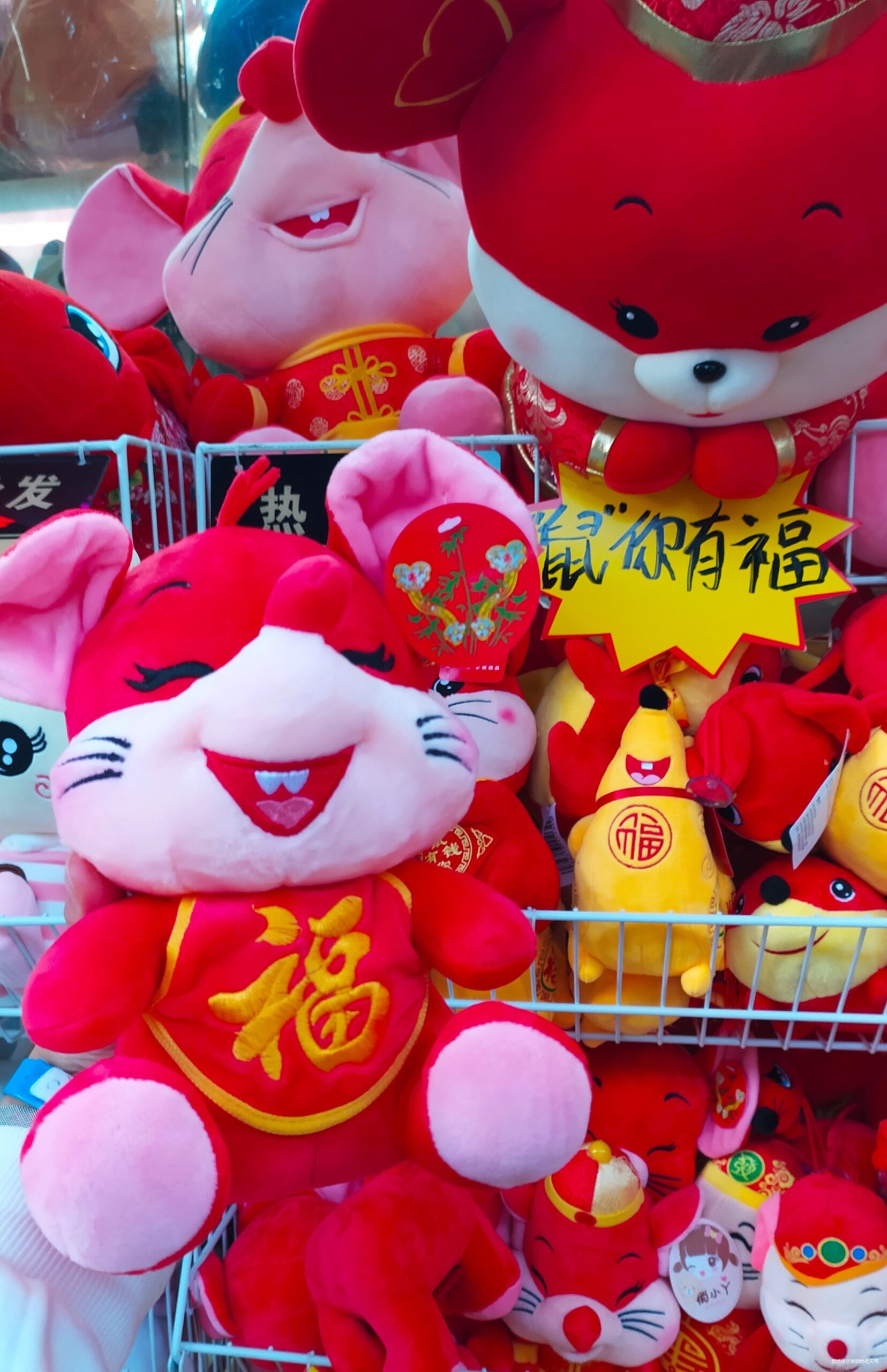 一起慢慢，数数羊城几只羊？——记2019广州马拉松（by跑到地老天荒）