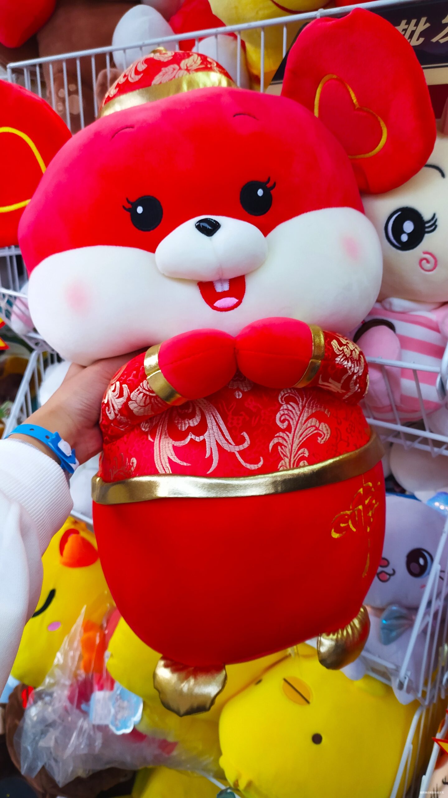 一起慢慢，数数羊城几只羊？——记2019广州马拉松（by跑到地老天荒）