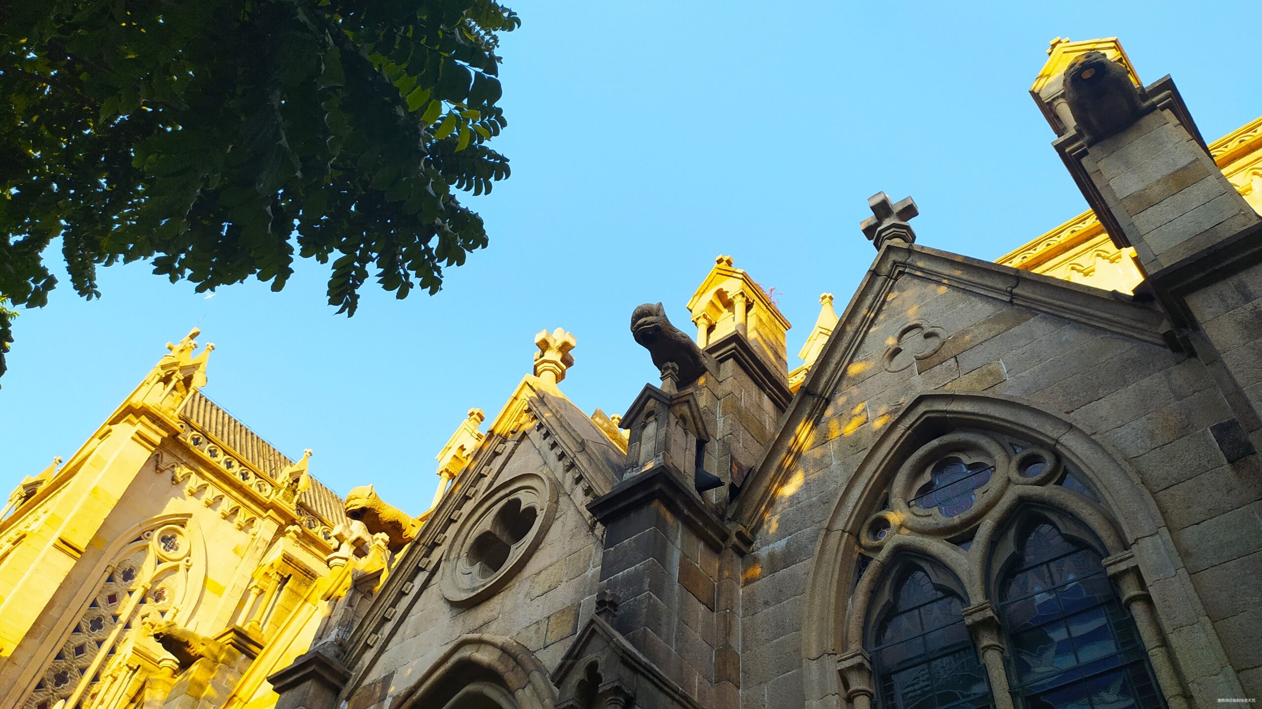 一起慢慢，数数羊城几只羊？——记2019广州马拉松（by跑到地老天荒）