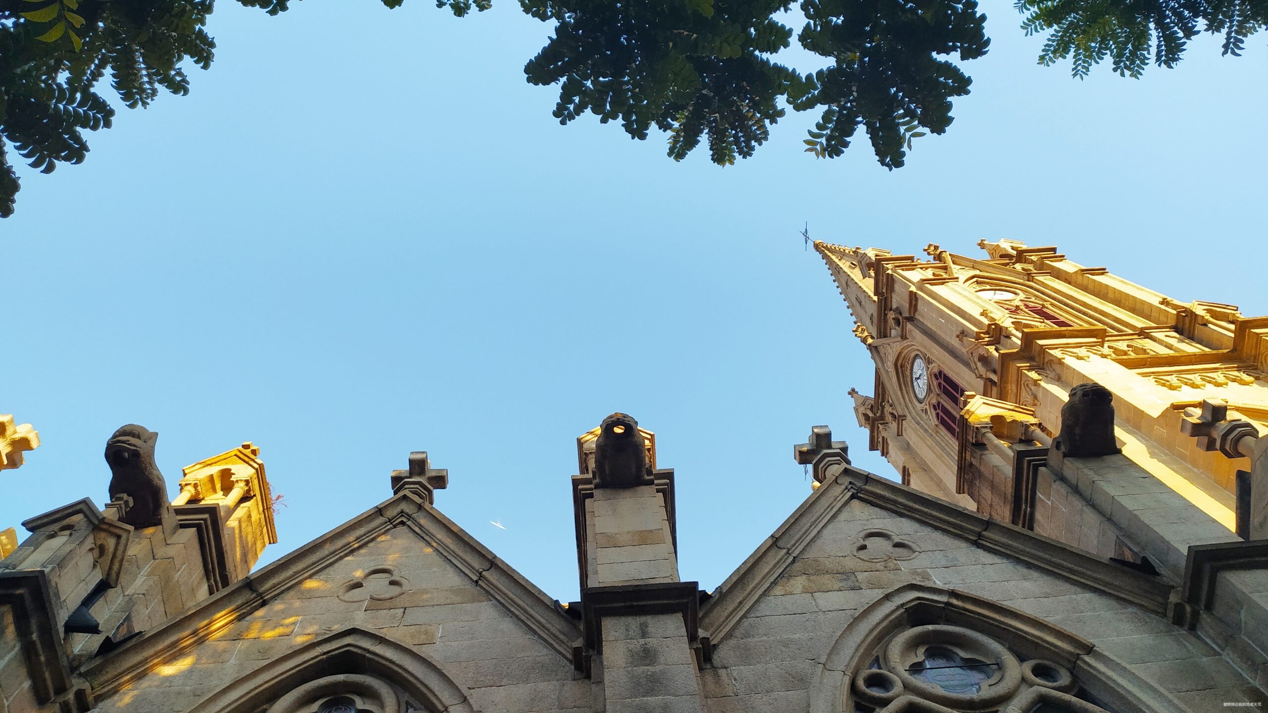 一起慢慢，数数羊城几只羊？——记2019广州马拉松（by跑到地老天荒）