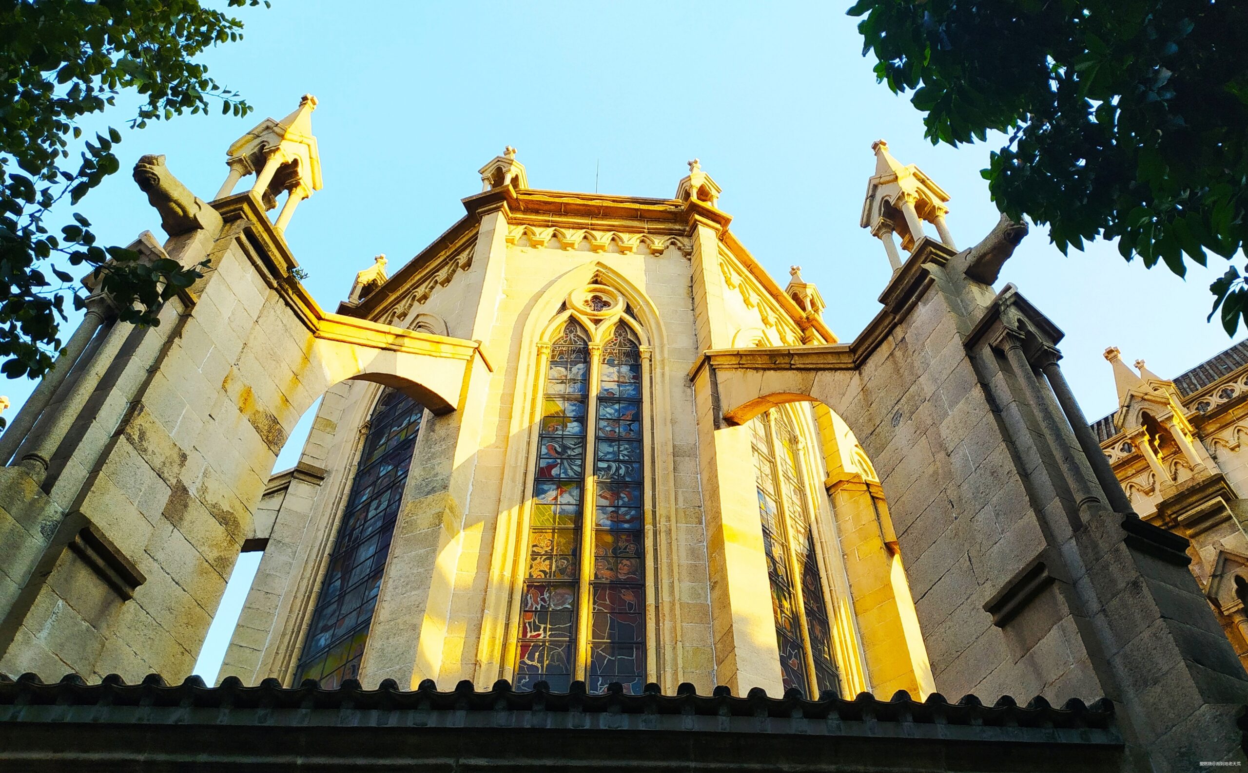 一起慢慢，数数羊城几只羊？——记2019广州马拉松（by跑到地老天荒）