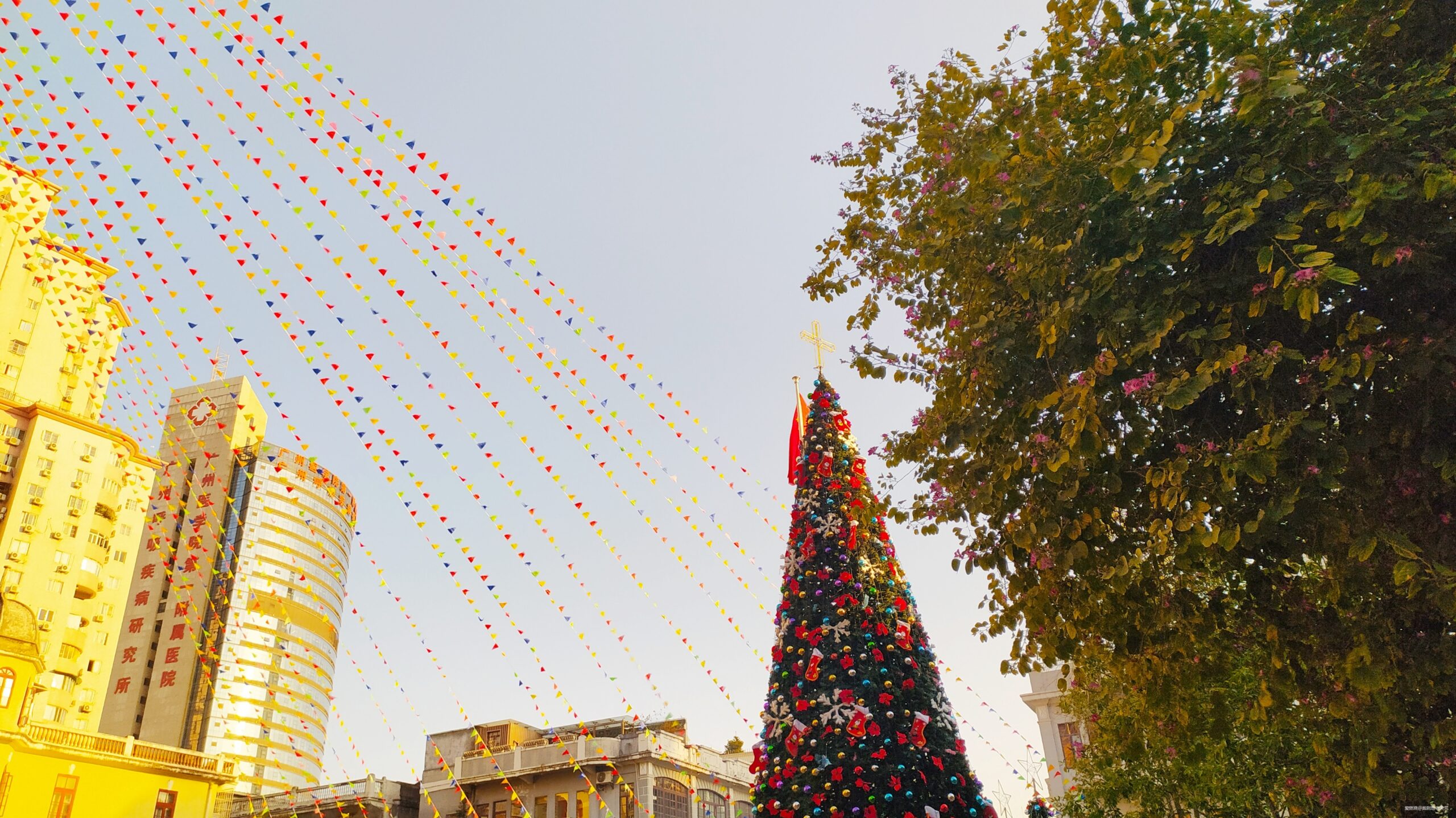 一起慢慢，数数羊城几只羊？——记2019广州马拉松（by跑到地老天荒）