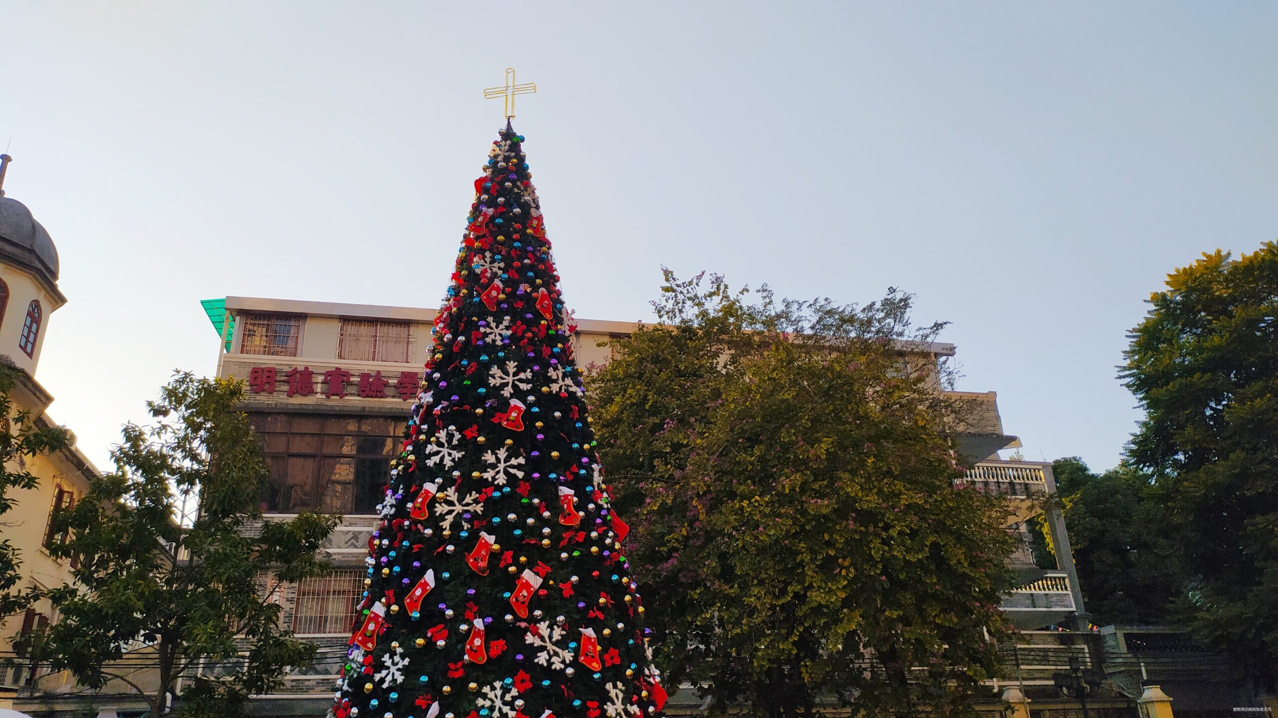 一起慢慢，数数羊城几只羊？——记2019广州马拉松（by跑到地老天荒）