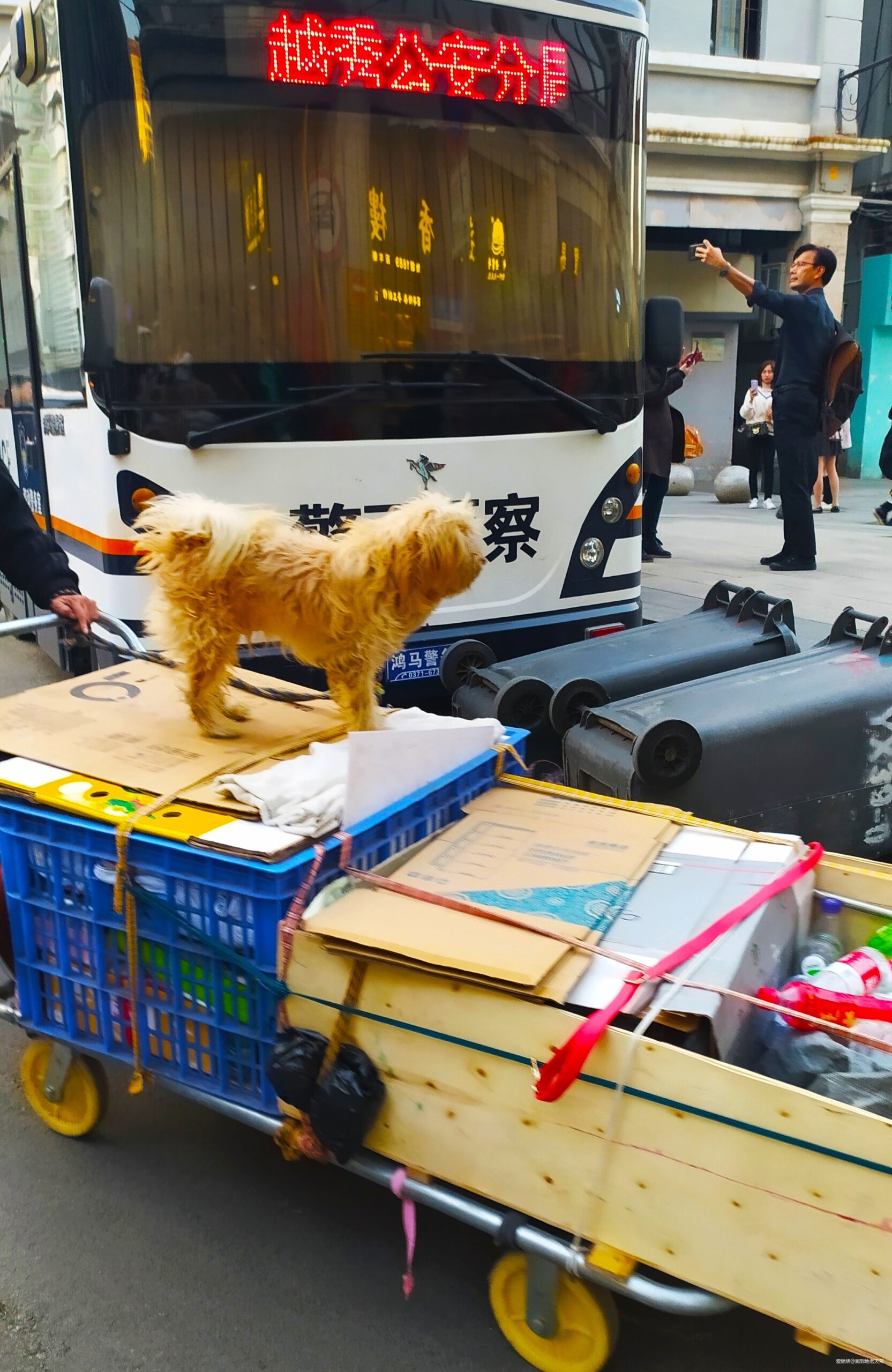 一起慢慢，数数羊城几只羊？——记2019广州马拉松（by跑到地老天荒）