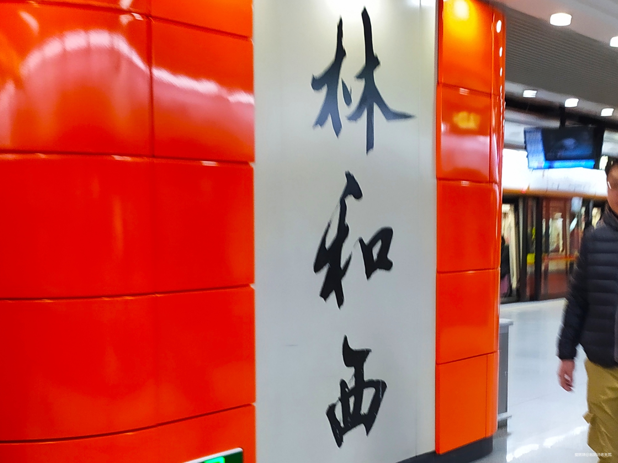 一起慢慢，数数羊城几只羊？——记2019广州马拉松（by跑到地老天荒）