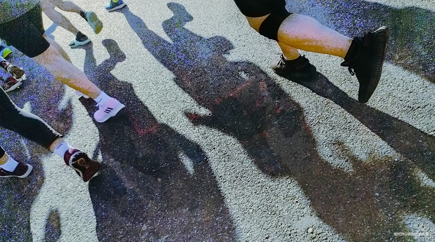 一起慢慢，数数羊城几只羊？——记2019广州马拉松（by跑到地老天荒）