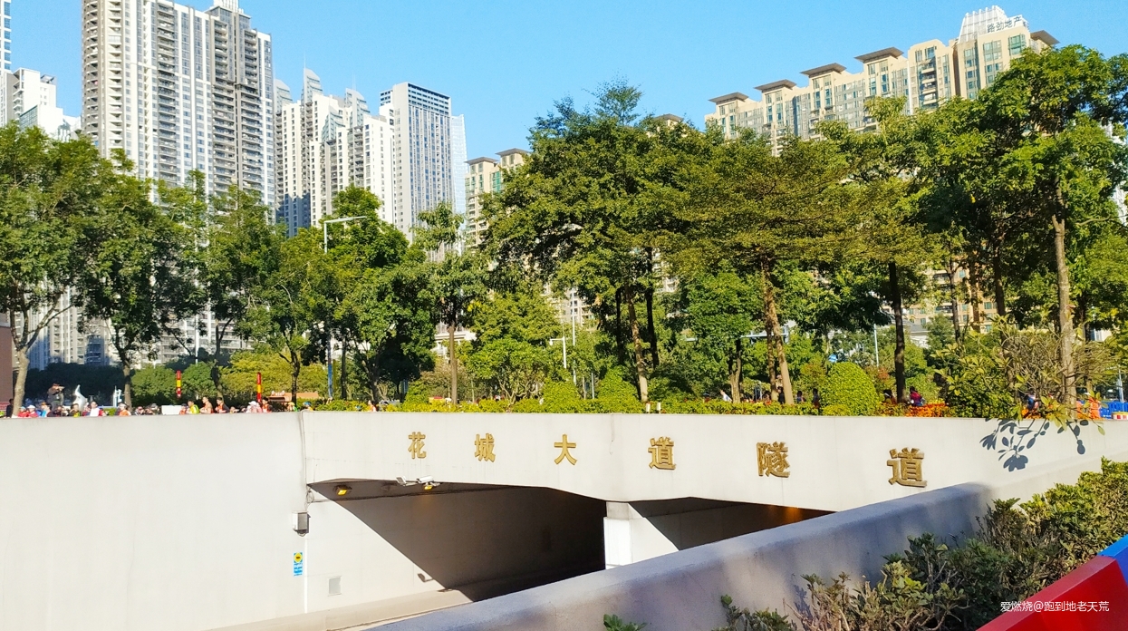 一起慢慢，数数羊城几只羊？——记2019广州马拉松（by跑到地老天荒）