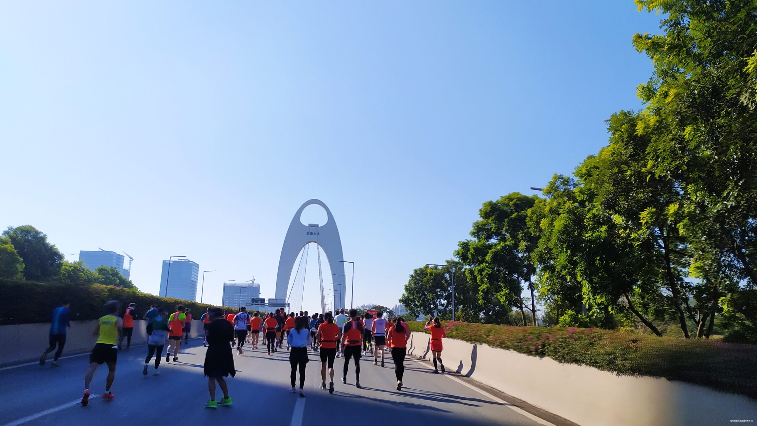 一起慢慢，数数羊城几只羊？——记2019广州马拉松（by跑到地老天荒）