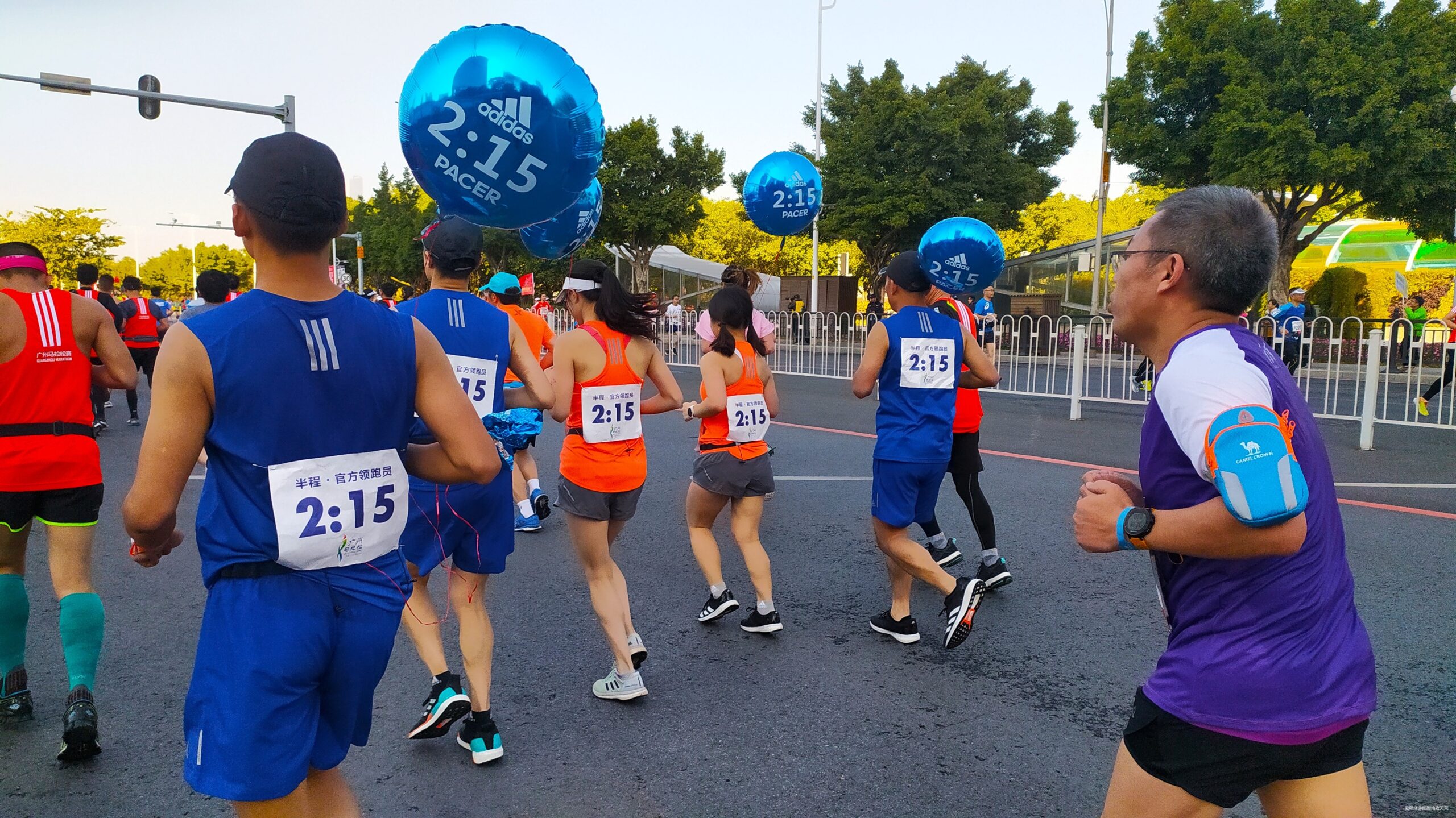 一起慢慢，数数羊城几只羊？——记2019广州马拉松（by跑到地老天荒）