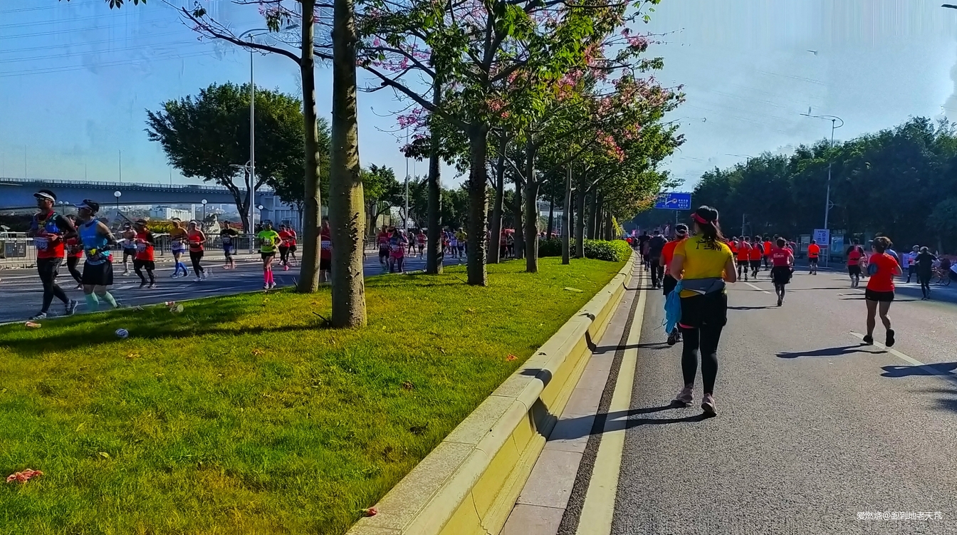 一起慢慢，数数羊城几只羊？——记2019广州马拉松（by跑到地老天荒）