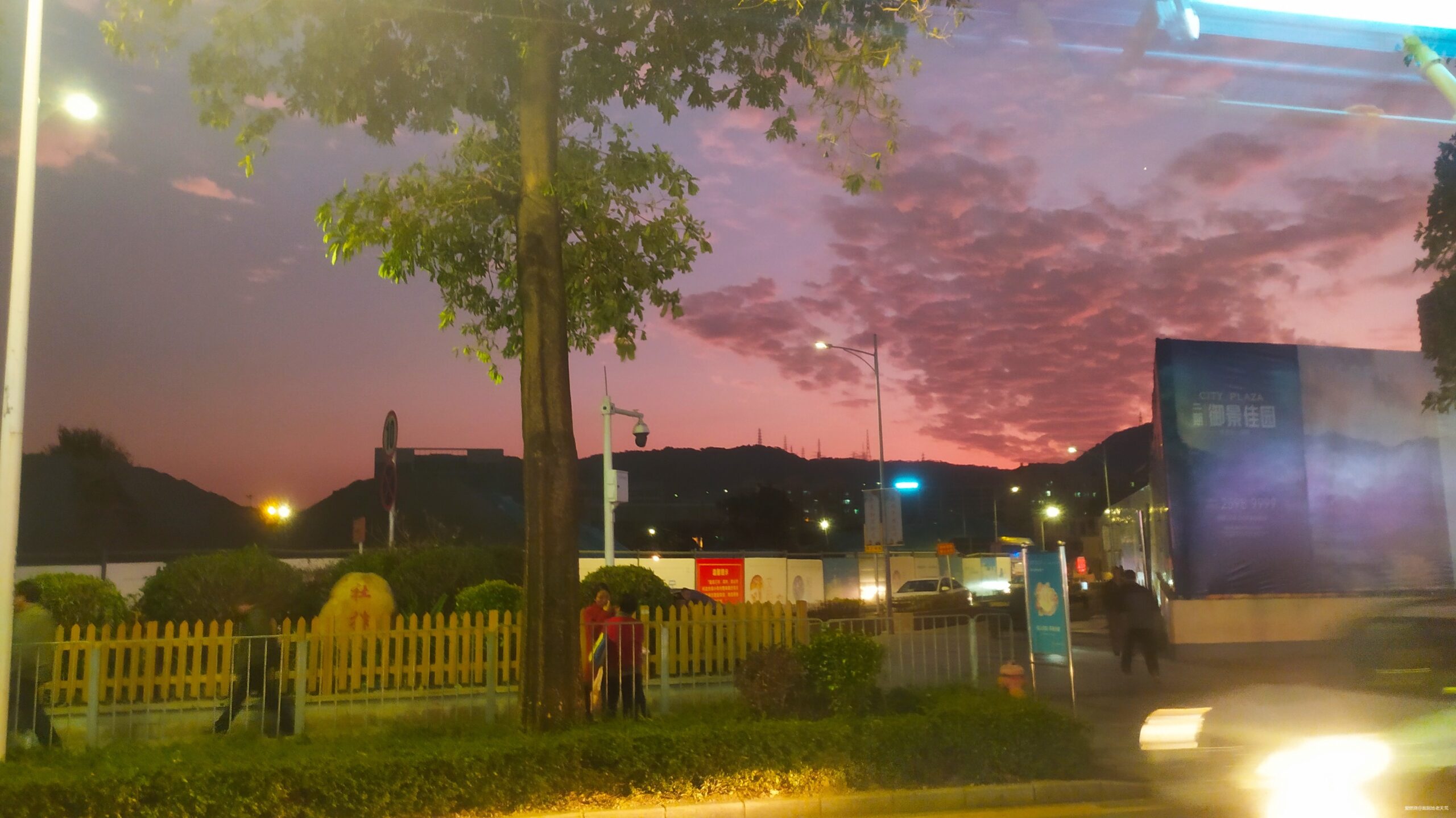 一起慢慢，数数羊城几只羊？——记2019广州马拉松（by跑到地老天荒）