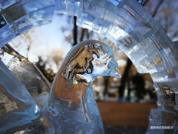 诗意奔逐——我的2019马拉松总结报告