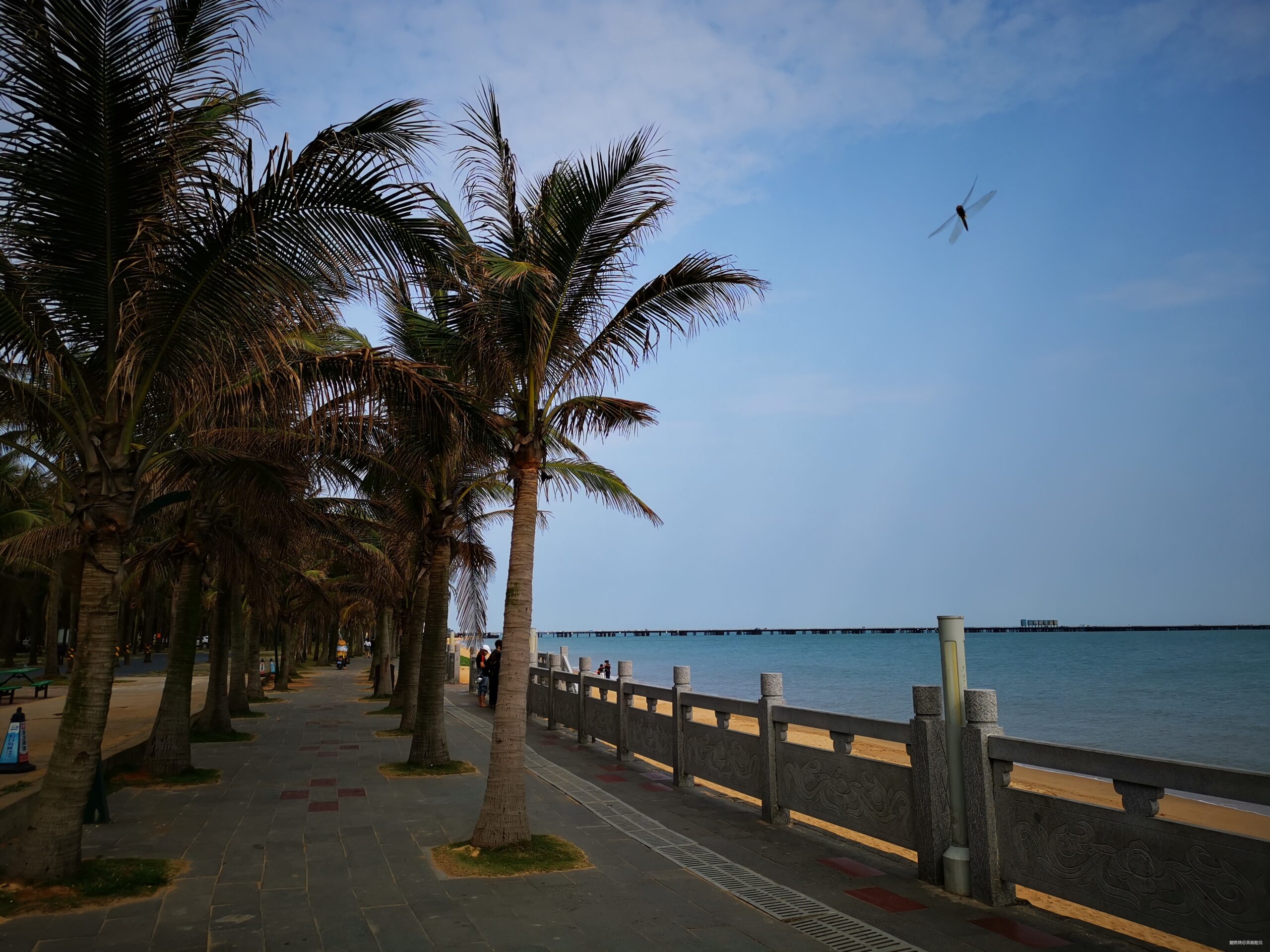 诗意奔逐——我的2019马拉松总结报告