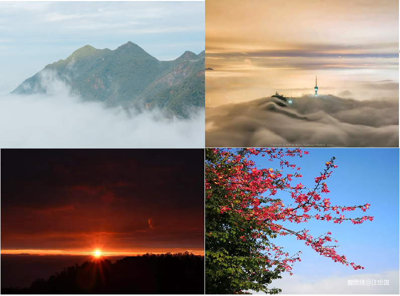 深圳百英里穿越一座城  百公里弃赛是技不如人