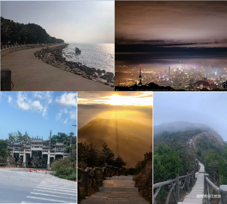 深圳百英里穿越一座城  百公里弃赛是技不如人