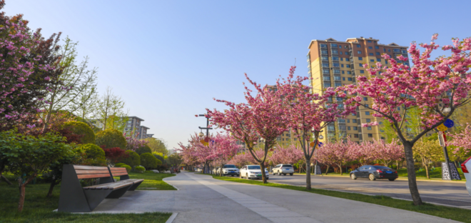 2020西安曲江半程马拉松于1月10日上午10:00开放报名！