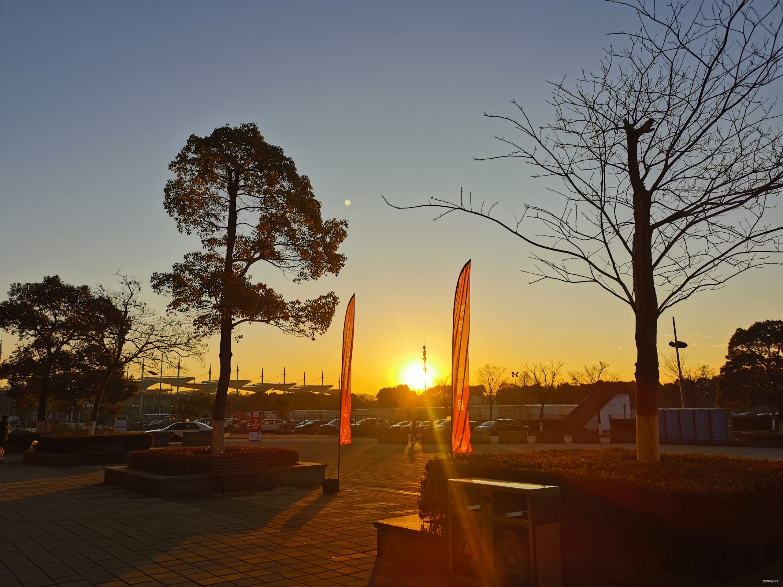 2020新年第一跑——蒸蒸日上，一路向上