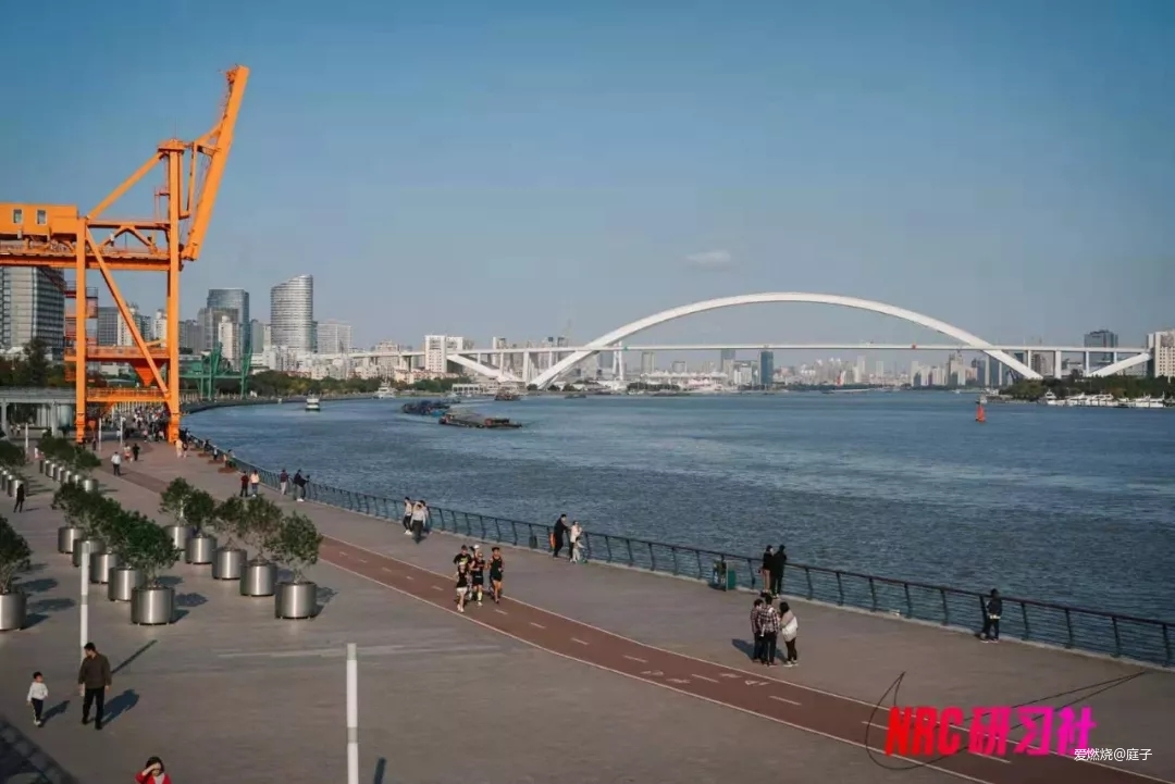 庭酱|小身材大能量，2019上马破4赛记