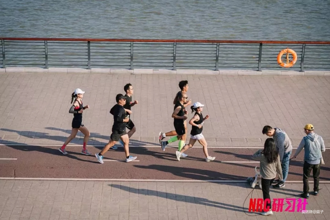 庭酱|小身材大能量，2019上马破4赛记