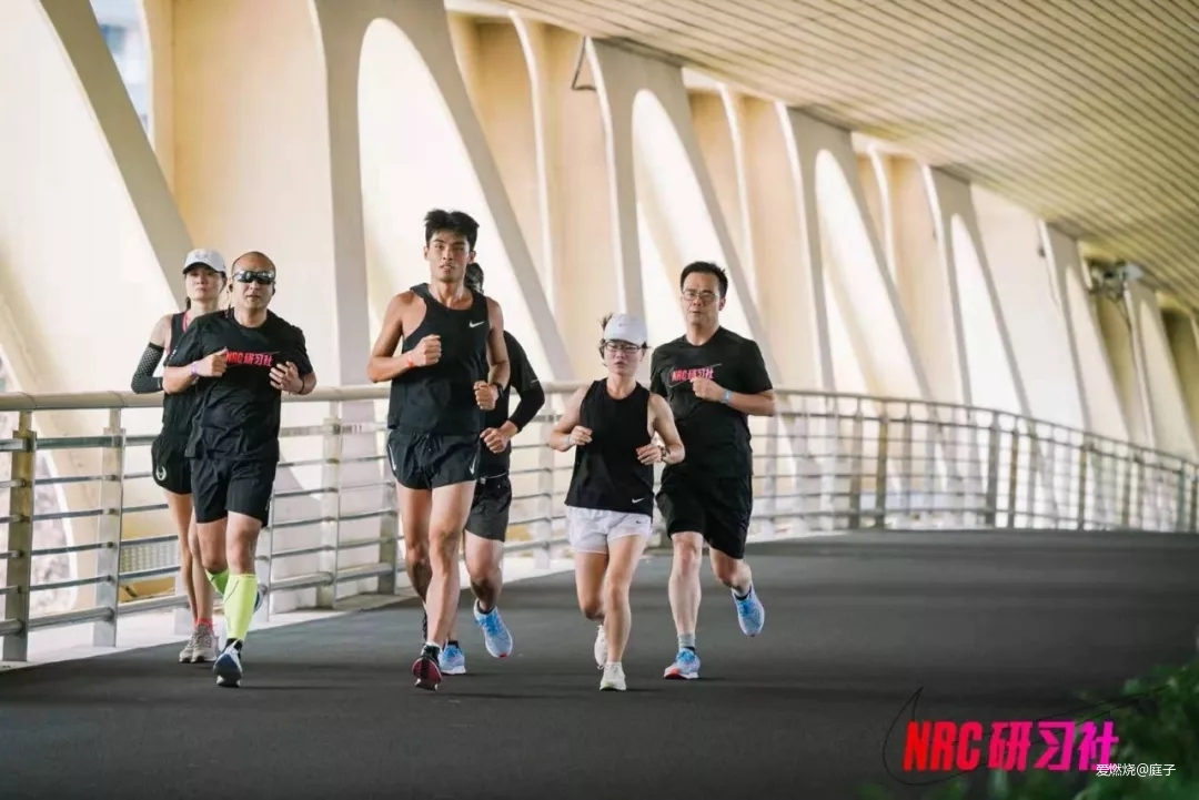 庭酱|小身材大能量，2019上马破4赛记