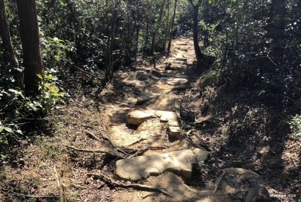 一场港百，一次残酷的战斗 |2020港百记忆