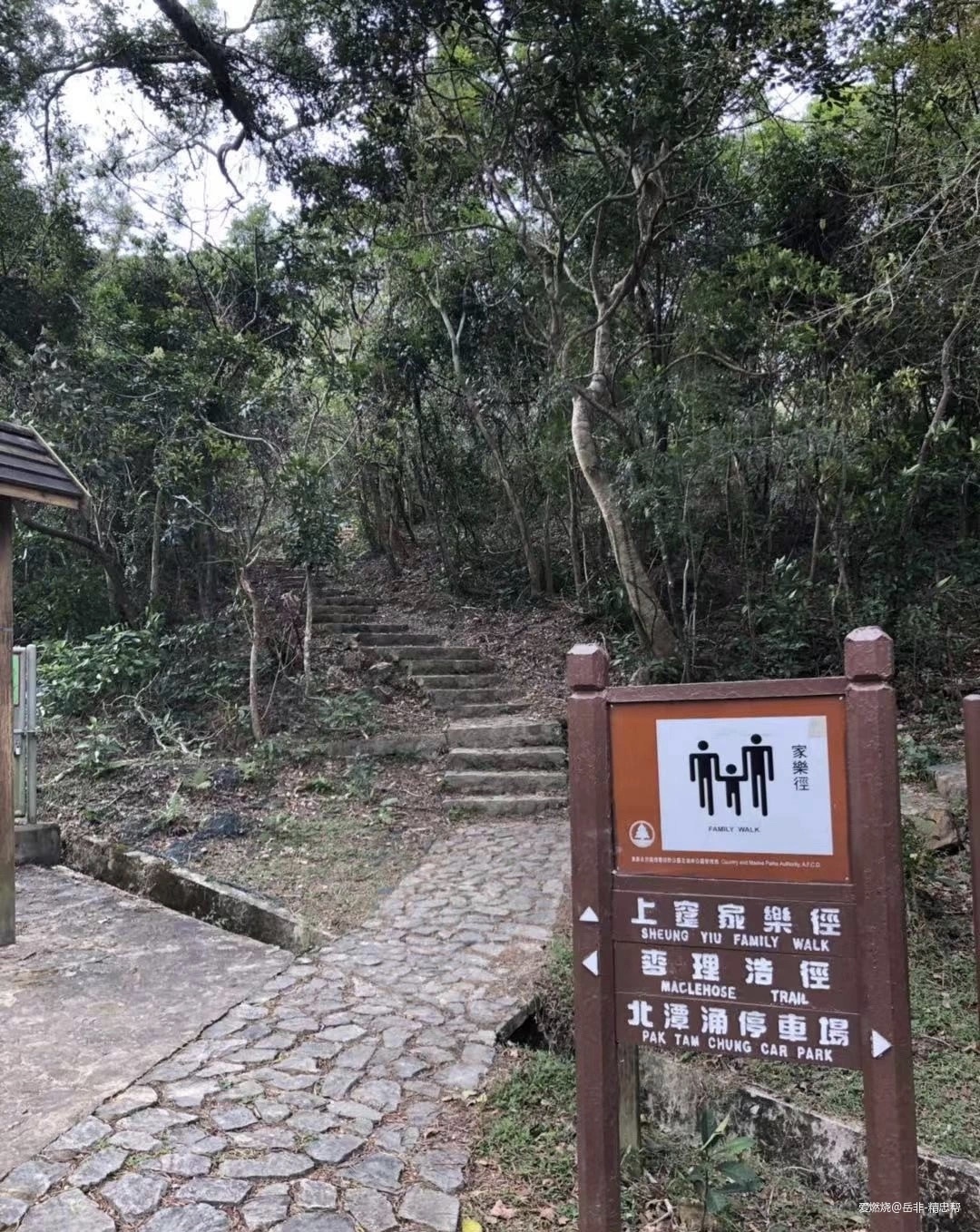 一场港百，一次残酷的战斗 |2020港百记忆