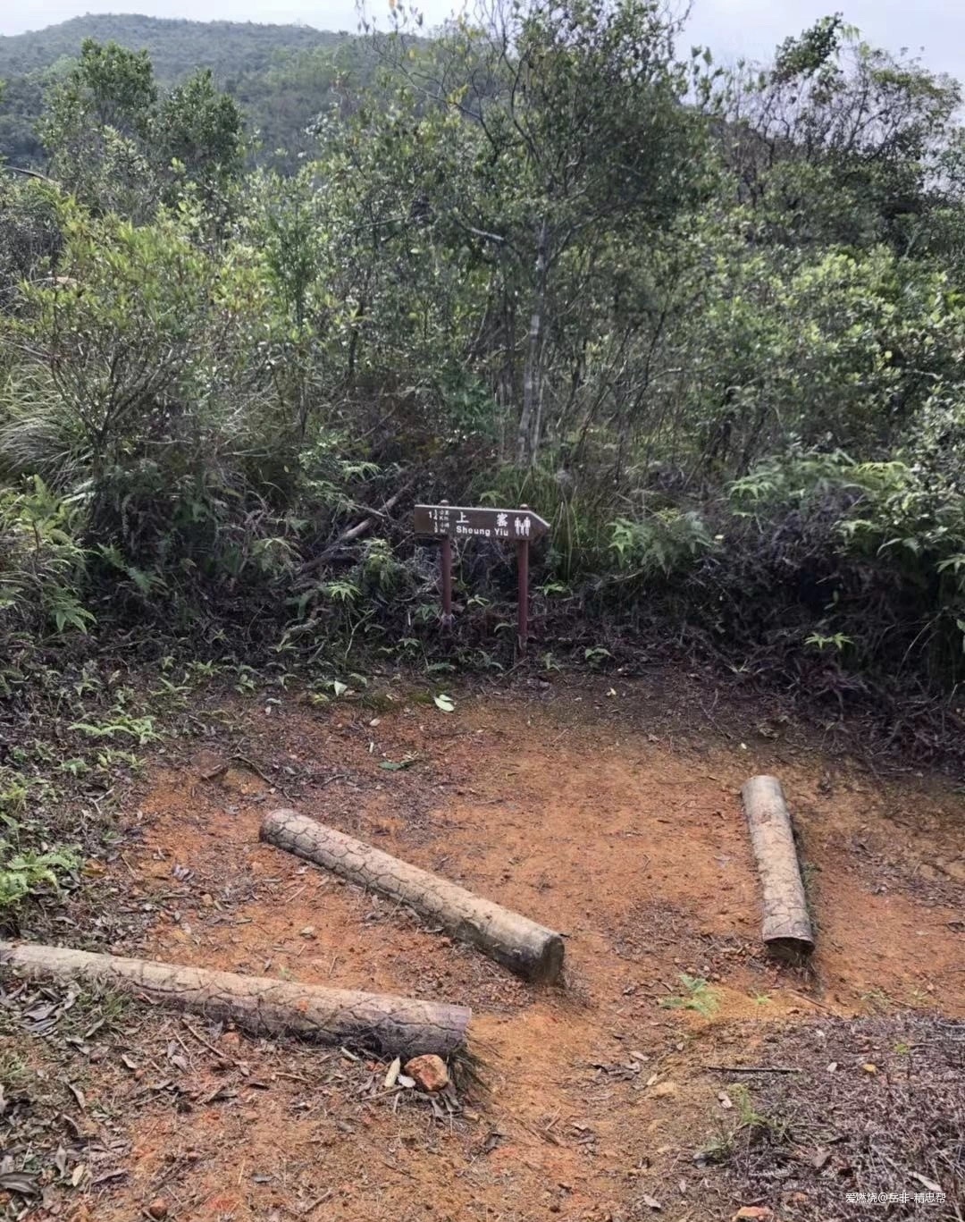 一场港百，一次残酷的战斗 |2020港百记忆