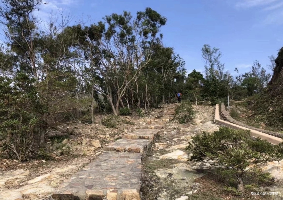 一场港百，一次残酷的战斗 |2020港百记忆