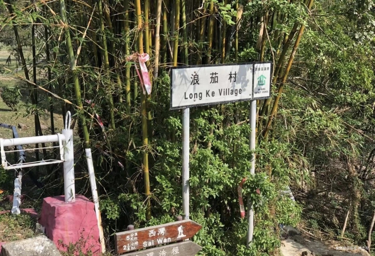 一场港百，一次残酷的战斗 |2020港百记忆