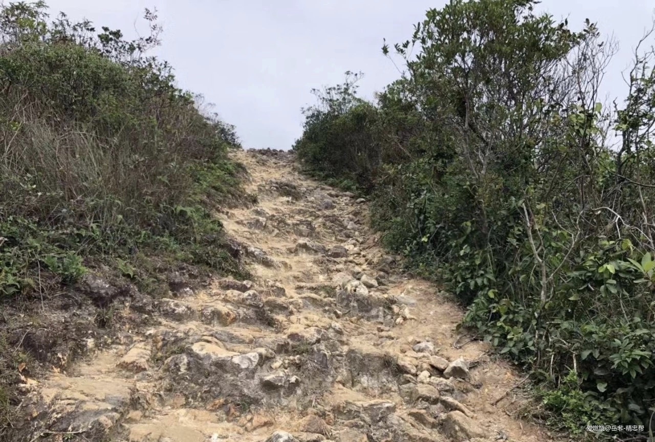 一场港百，一次残酷的战斗 |2020港百记忆