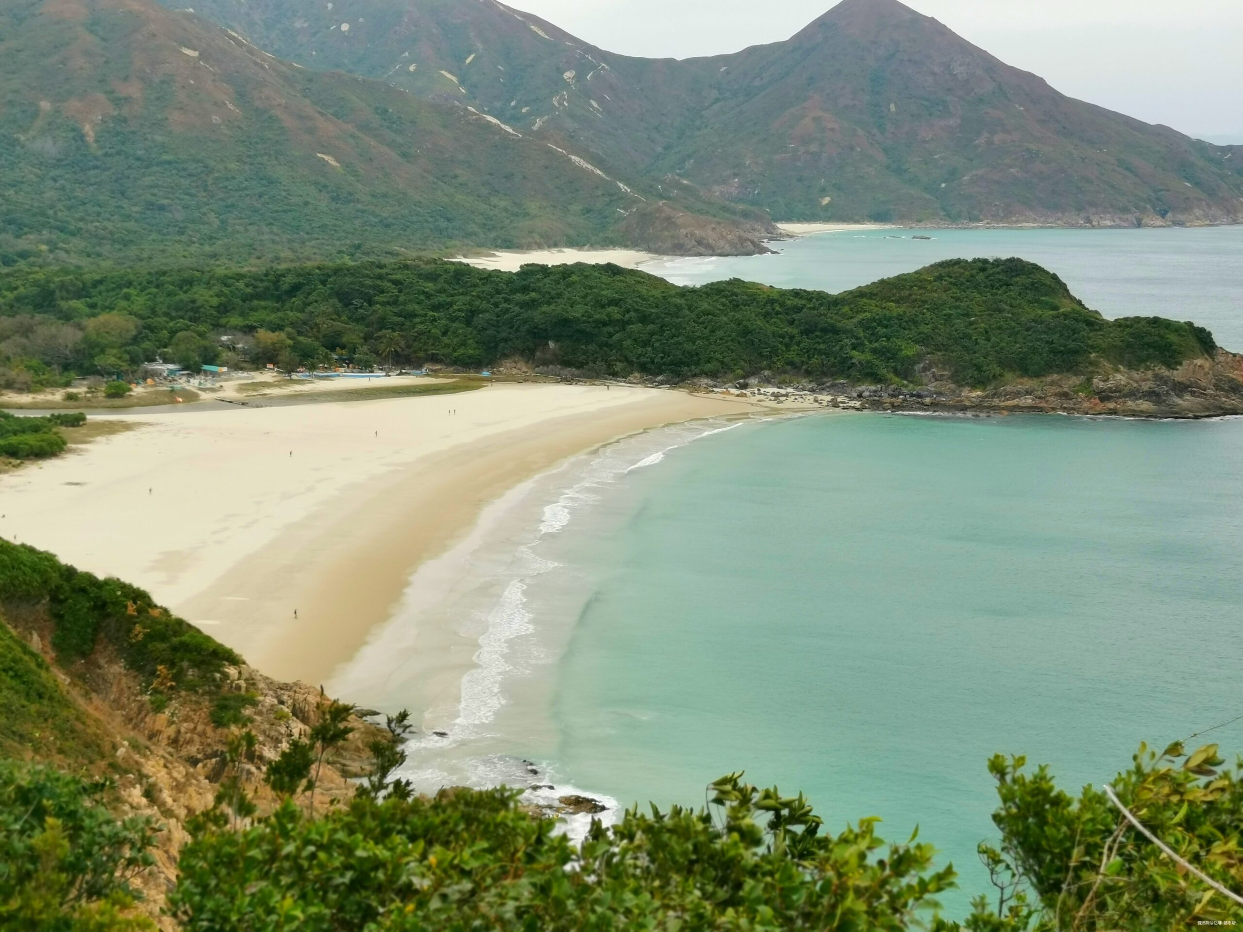 一场港百，一次残酷的战斗 |2020港百记忆