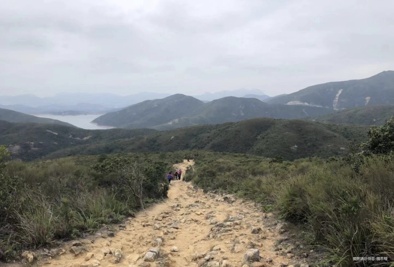 一场港百，一次残酷的战斗 |2020港百记忆