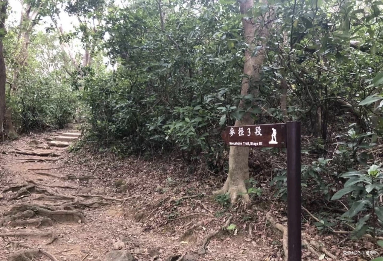 一场港百，一次残酷的战斗 |2020港百记忆