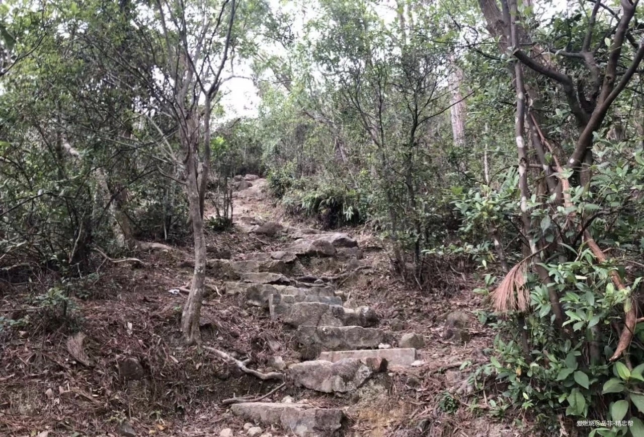 一场港百，一次残酷的战斗 |2020港百记忆