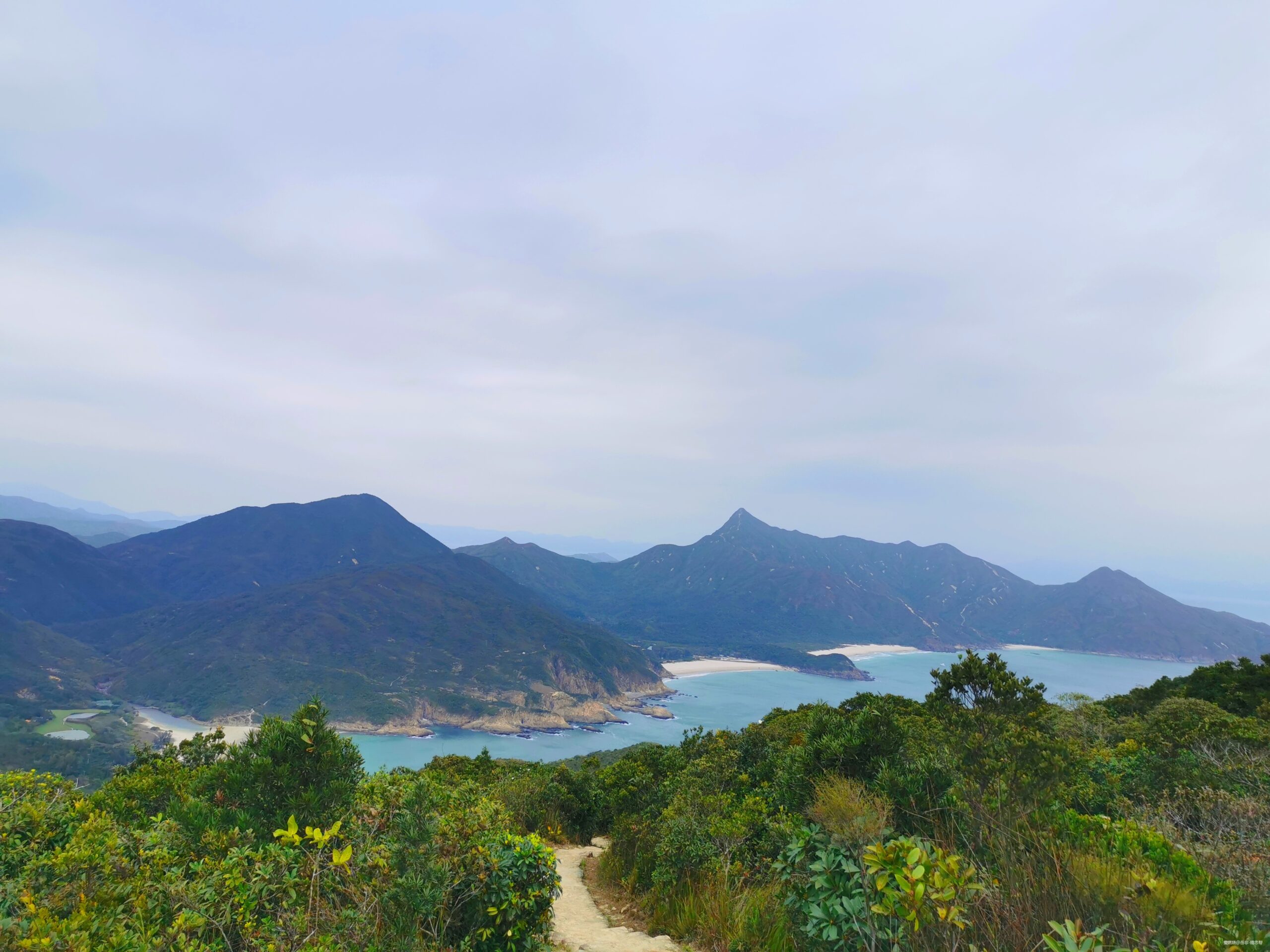 一场港百，一次残酷的战斗 |2020港百记忆