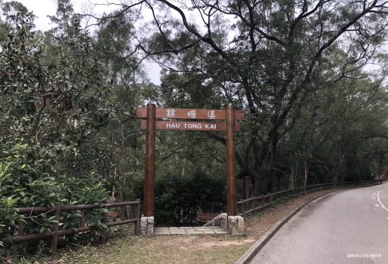 一场港百，一次残酷的战斗 |2020港百记忆