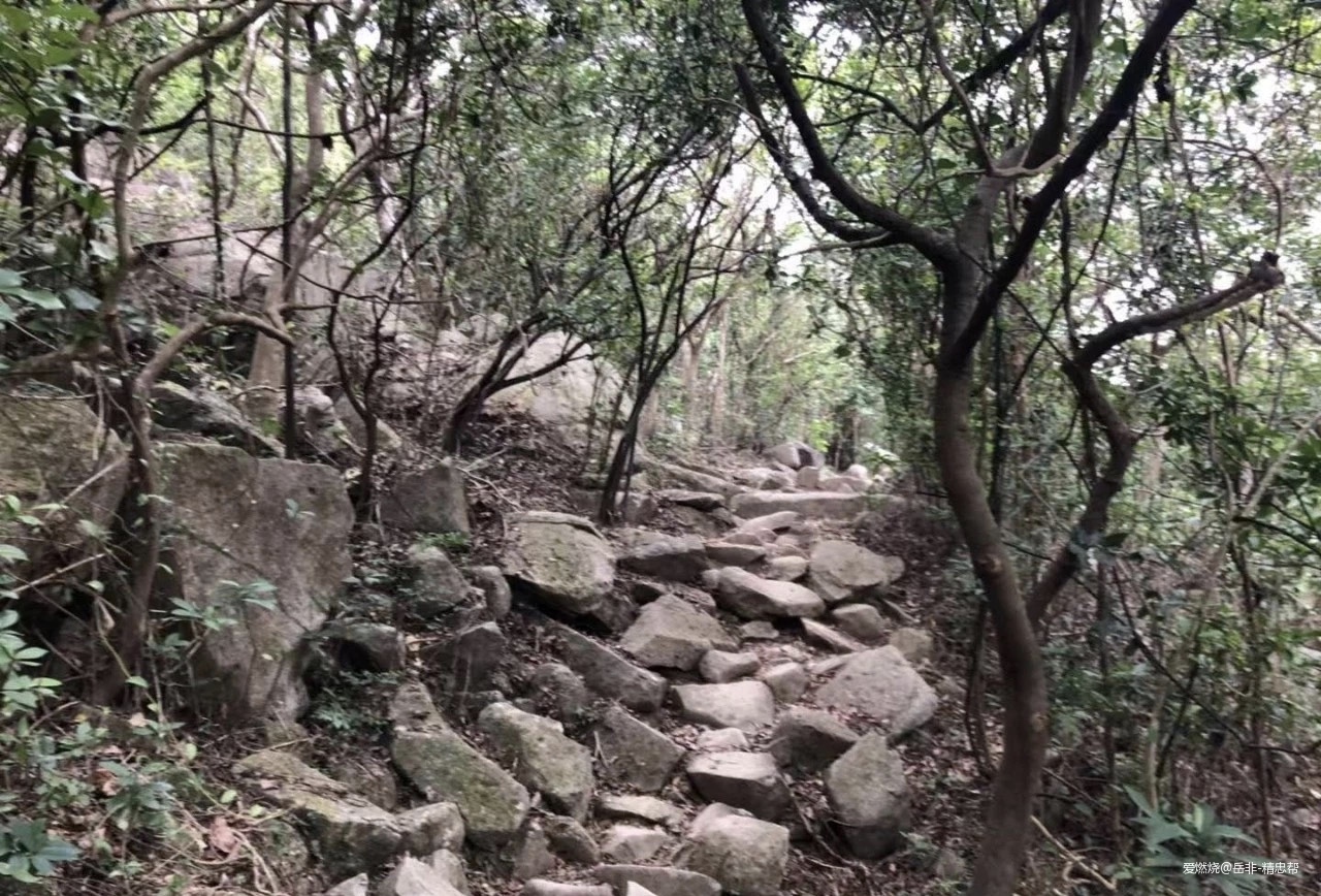 一场港百，一次残酷的战斗 |2020港百记忆