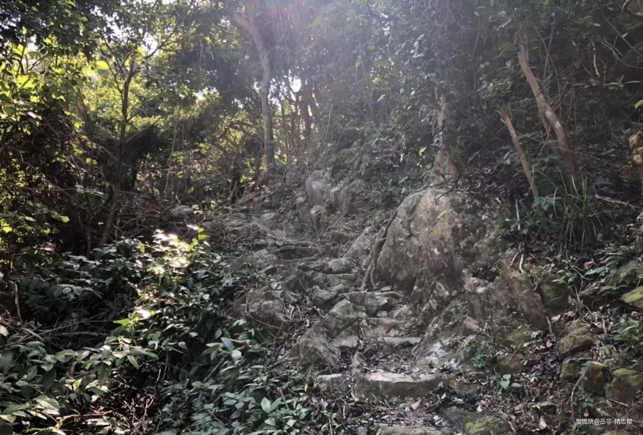 一场港百，一次残酷的战斗 |2020港百记忆