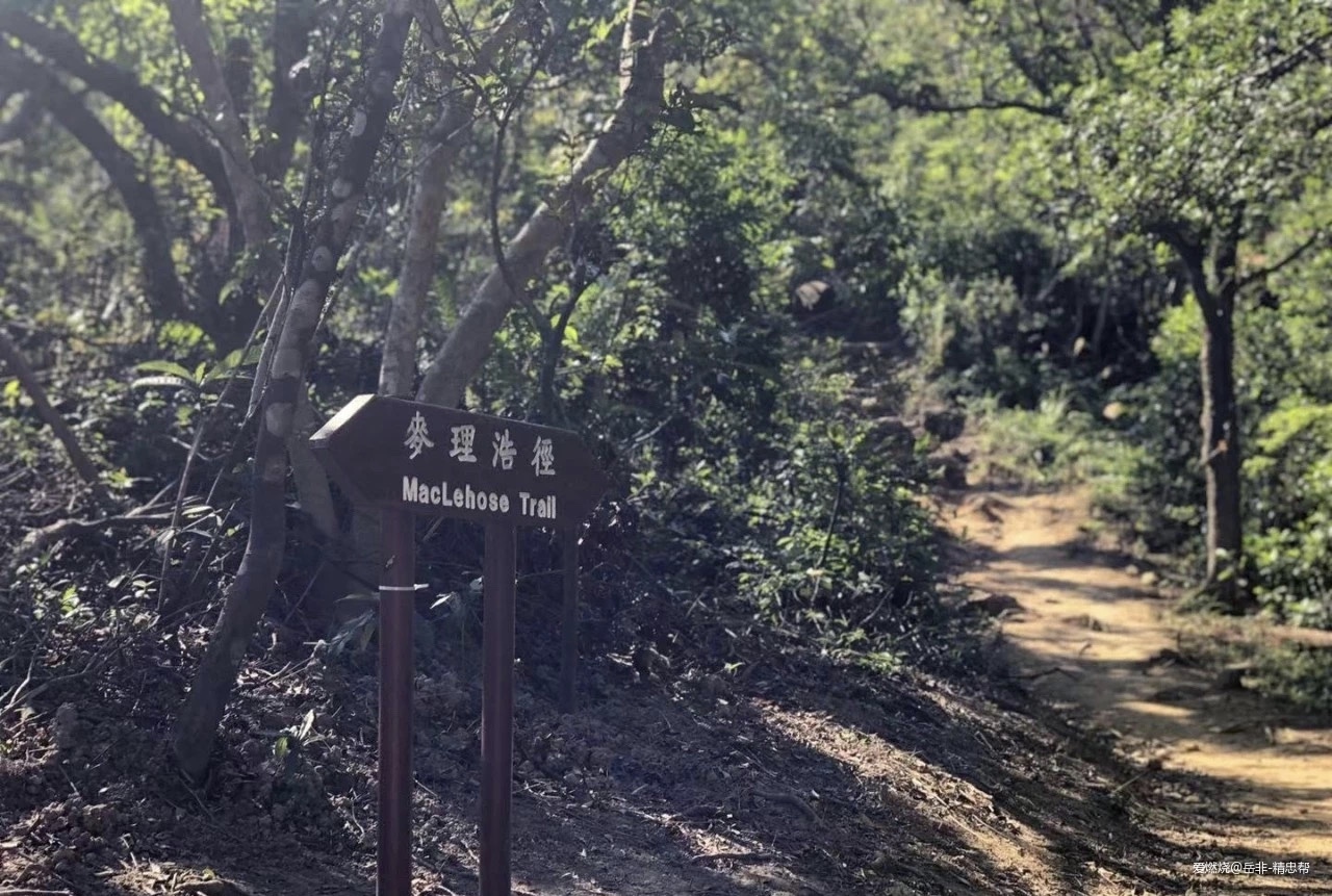 一场港百，一次残酷的战斗 |2020港百记忆