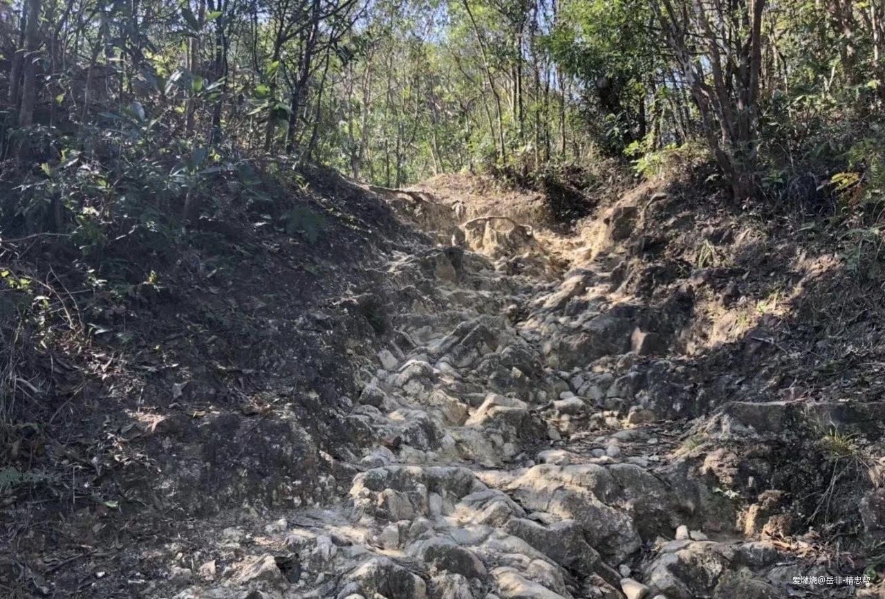 一场港百，一次残酷的战斗 |2020港百记忆