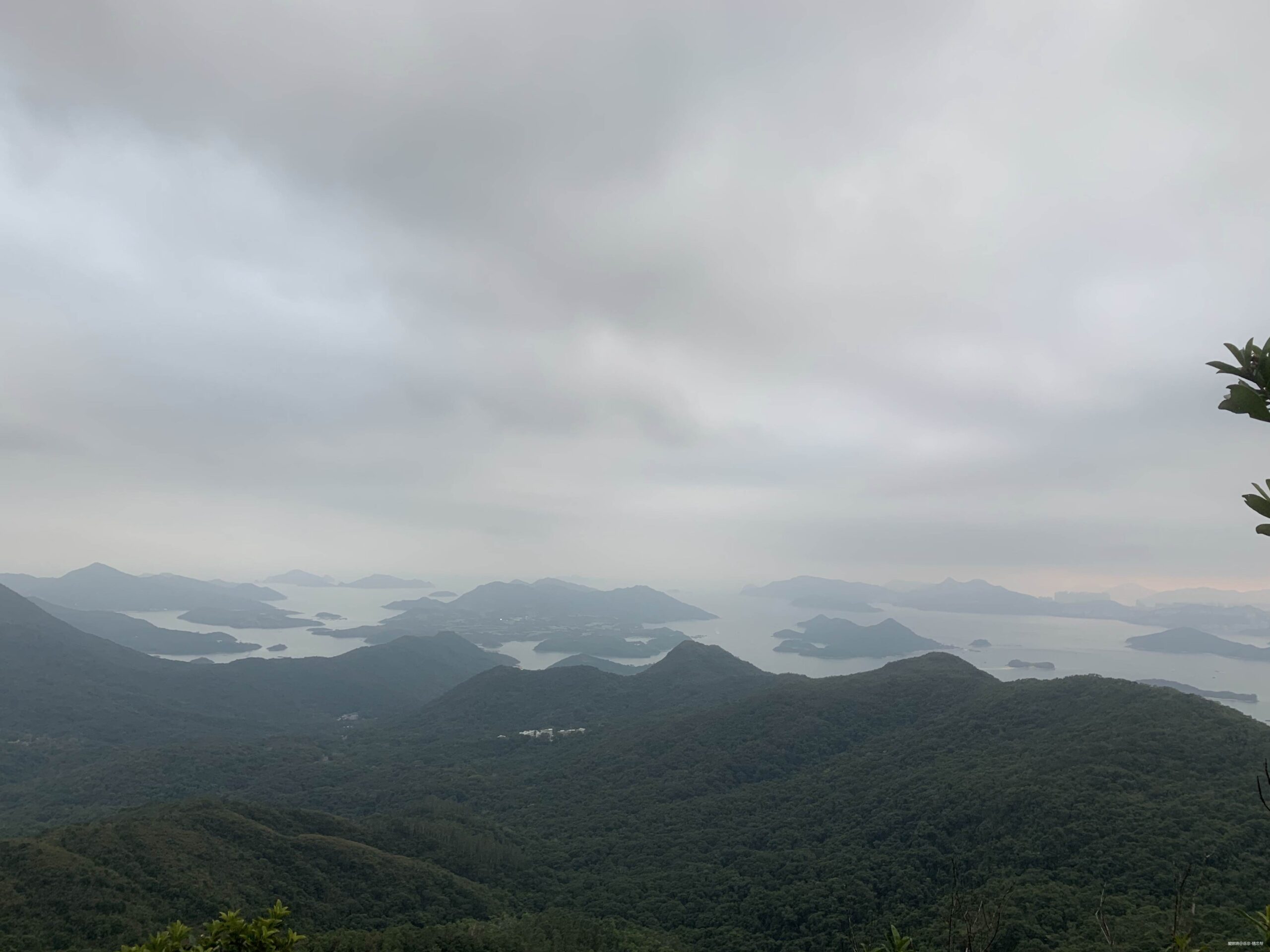 一场港百，一次残酷的战斗 |2020港百记忆