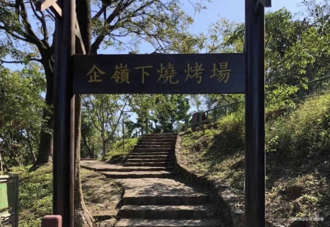 一场港百，一次残酷的战斗 |2020港百记忆