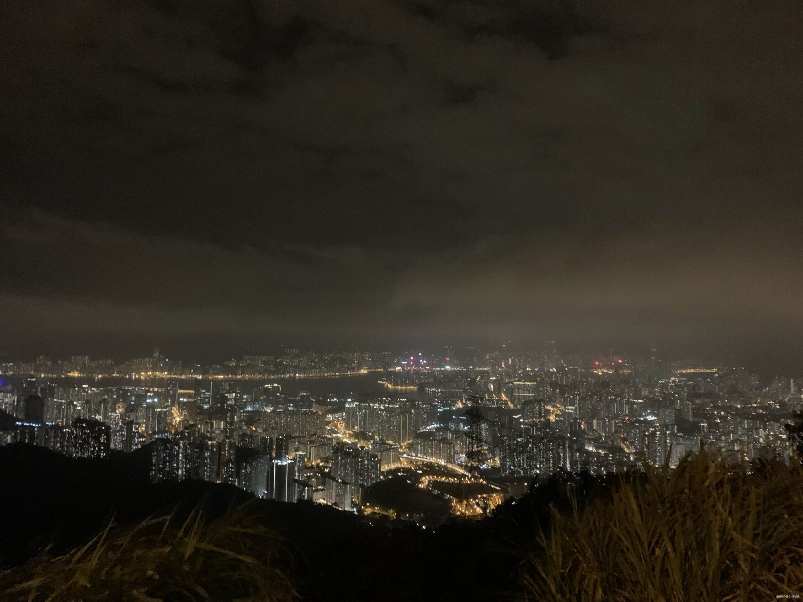 一场港百，一次残酷的战斗 |2020港百记忆