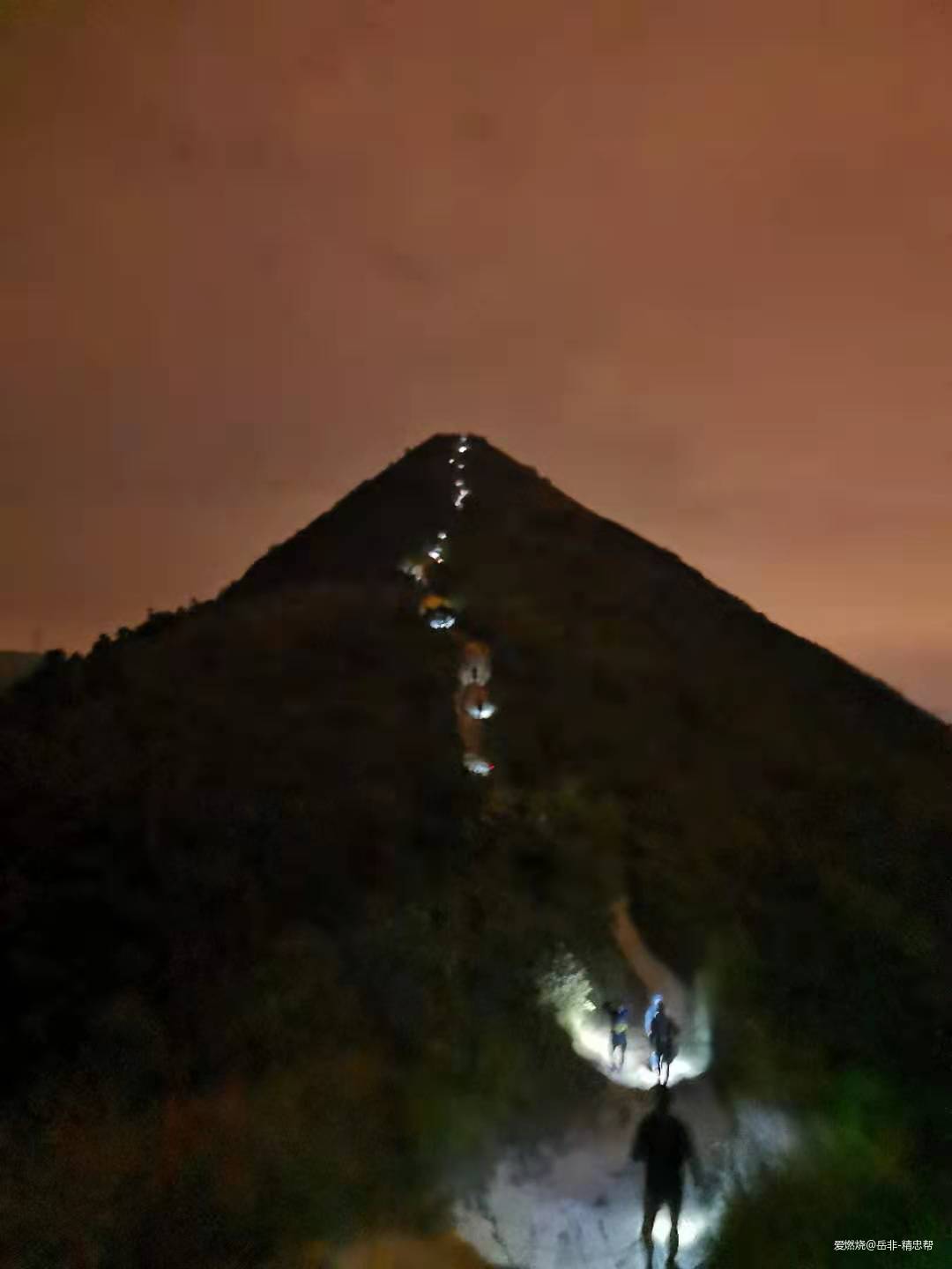 一场港百，一次残酷的战斗 |2020港百记忆