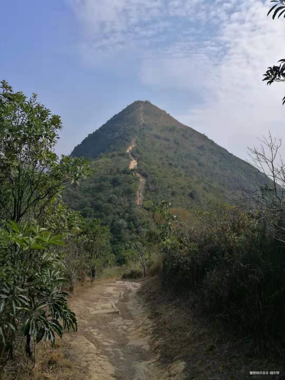 一场港百，一次残酷的战斗 |2020港百记忆