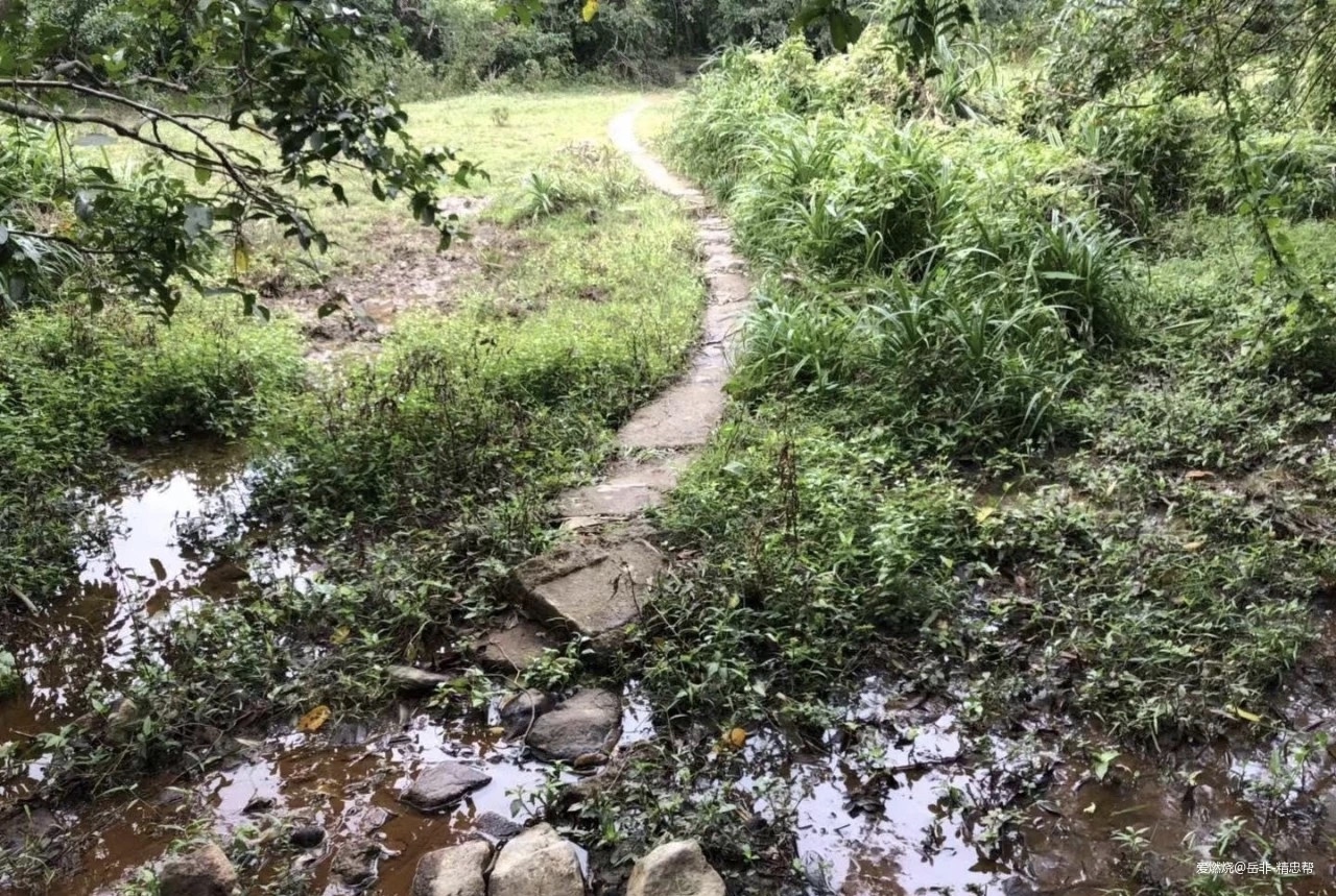 一场港百，一次残酷的战斗 |2020港百记忆