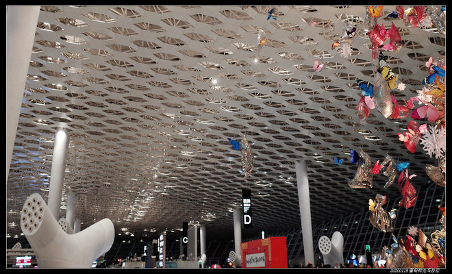 20200119缅甸仰光马拉松（2/2）