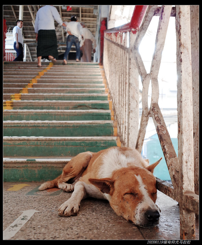 20200119缅甸仰光马拉松（2/2）