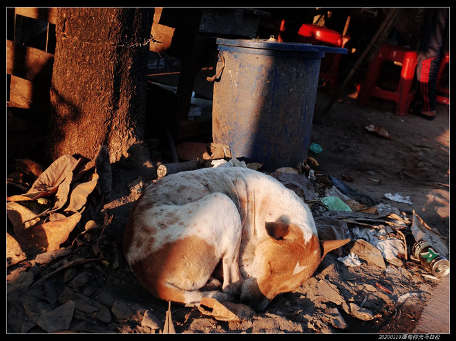 20200119缅甸仰光马拉松（2/2）